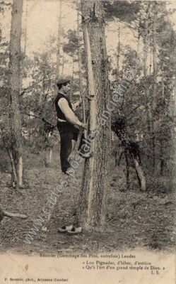 Carte postale ancienne Resinier — Non Localisée (Landes)