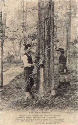 Carte postale ancienne Resinier — Non Localisée (Landes)