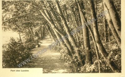 Carte postale ancienne Port des Landes — Non Localisée (Landes)