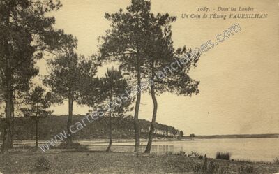 Carte postale ancienne Un Coin de l'Étang — Aureilhan (Landes)