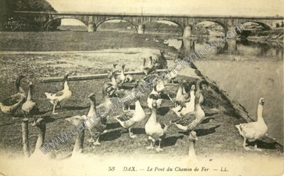 Carte postale ancienne Le Pont du Chemin de Fer — Dax (Landes)