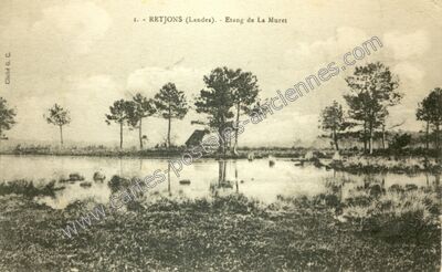 Carte postale ancienne Etang de La Muret — Retjons (Landes)