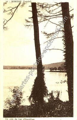 Carte postale ancienne Un coin du Lac d'Aureilhan — Mimizan (Landes)