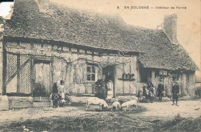 Carte postale ancienne En Sologne — Non Localisée (Loir-et-Cher)