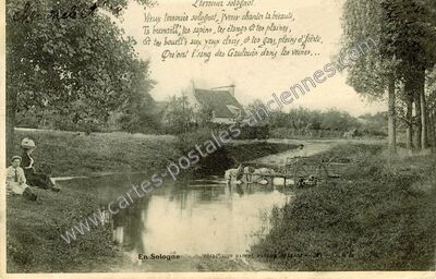 Carte postale ancienne En Sologne — Non Localisée (Loir-et-Cher)