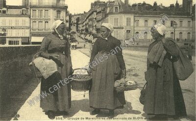 Carte postale ancienne Environs de Blois — Non Localisée (Loir-et-Cher)