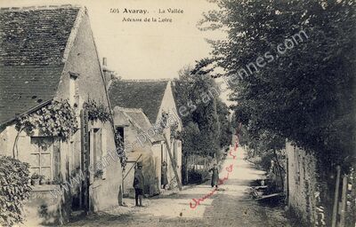 Carte postale ancienne La Vallée, Avenue de la Loire — Avaray (Loir-et-Cher)