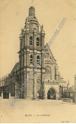 Carte postale ancienne Blois cat — Blois (Loir-et-Cher)