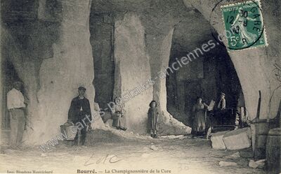 Carte postale ancienne La Champignonnière de la Cure — Bourré (Loir-et-Cher)