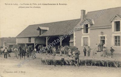 Carte postale ancienne La Ferme de l'Isle — Courbouzon (Loir-et-Cher)
