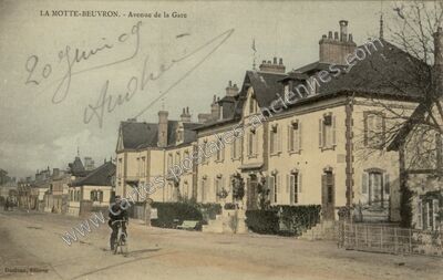 Carte postale ancienne Avenue de la Gare — Lamotte-Beuvron (Loir-et-Cher)
