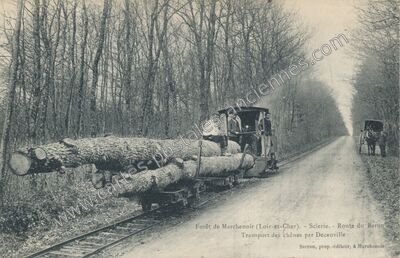Carte postale ancienne Foret de Marchenoir — Marchenoir (Loir-et-Cher)