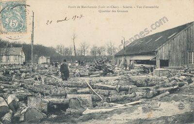 Carte postale ancienne Foret de Marchenoir — Marchenoir (Loir-et-Cher)