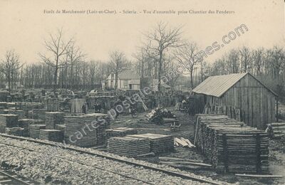 Carte postale ancienne Foret de Marchenoir — Marchenoir (Loir-et-Cher)