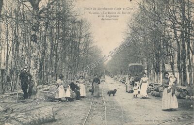 Carte postale ancienne Foret de Marchenoir — Marchenoir (Loir-et-Cher)