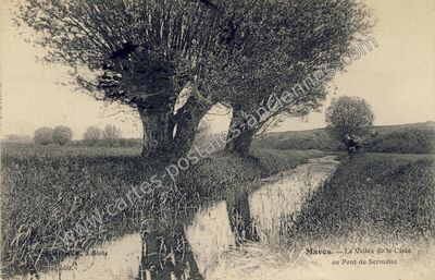 Carte postale ancienne La Vallée de la Cisse au Pont de Sermaise — Maves (Loir-et-Cher)