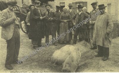 Carte postale ancienne Romorantin — Romorantin-Lanthenay (Loir-et-Cher)