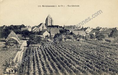 Carte postale ancienne St-Léonard - Vue Générale — Saint-Léonard-en-Beauce (Loir-et-Cher)