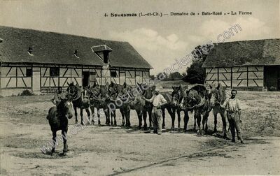 Carte postale ancienne Bois Rose — Souesmes (Loir-et-Cher)