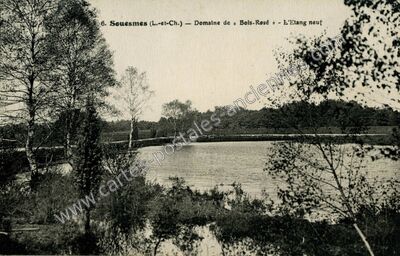 Carte postale ancienne Bois Rose — Souesmes (Loir-et-Cher)