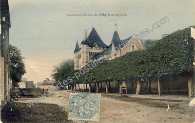 Carte postale ancienne Avenue du Château — Talcy (Loir-et-Cher)