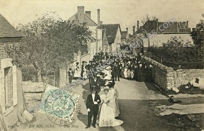 Carte postale ancienne En Sologne — Non Localisée (Loir-et-Cher)