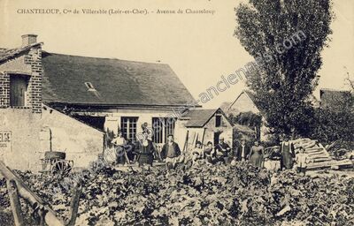 Carte postale ancienne Chanteloup — Villerable (Loir-et-Cher)