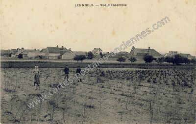 Carte postale ancienne Les Noels — Vineuil (Loir-et-Cher)