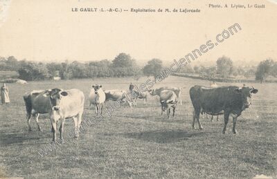 Carte postale ancienne Le Gault — Le Gault-du-Perche (Loir-et-Cher)