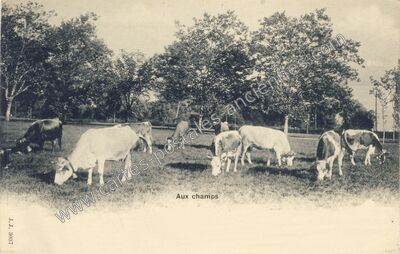 Carte postale ancienne Aux Champs — Non Localisée (Savoie)