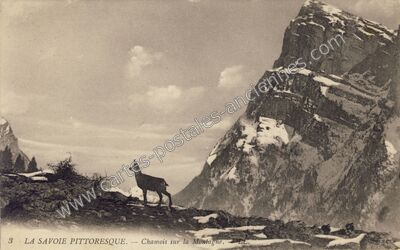 Carte postale ancienne Chamois — Non Localisée (Savoie)