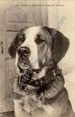 Carte postale ancienne Grand St Bernard — Séez (Savoie)