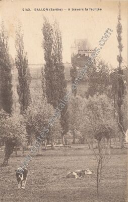 Carte postale ancienne A travers la feuillée — Ballon (Sarthe)