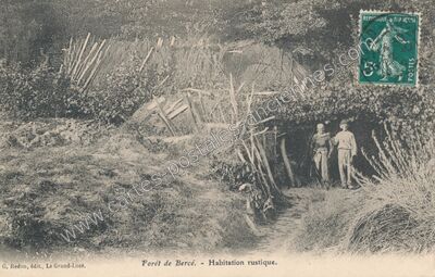 Carte postale ancienne Foret de Berce — Jupilles (Sarthe)