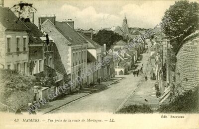 Carte postale ancienne Vue prise de la route de Mortagne — Mamers (Sarthe)