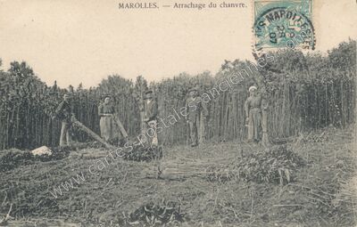 Carte postale ancienne Marolles-lès-Saint-Calais