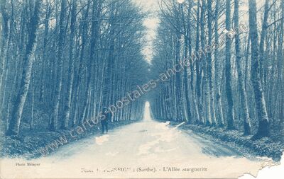 Carte postale ancienne Neufchâtel-en-Saosnois