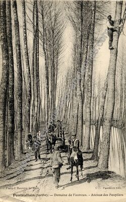 Carte postale ancienne Pontvallain