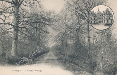 Carte postale ancienne Forêt de Vibraye — Vibraye (Sarthe)