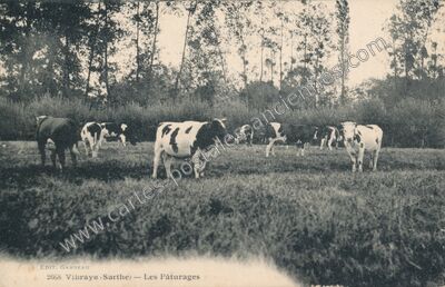 Carte postale ancienne Les Pâturages — Vibraye (Sarthe)