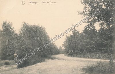 Carte postale ancienne Forêt de Vibraye — Vibraye (Sarthe)