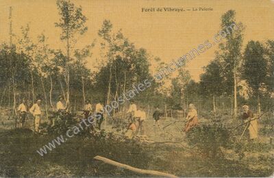 Carte postale ancienne Forêt de Vibraye. — La Pelerie — Vibraye (Sarthe)