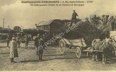 Carte postale ancienne Bourgogne — Non Localisée (Saône-et-Loire)