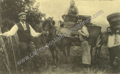 Carte postale ancienne Vendangeurs — Non Localisée (Saône-et-Loire)
