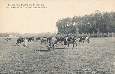 Carte postale ancienne La Vie aux Champs — Non Localisée (Saône-et-Loire)