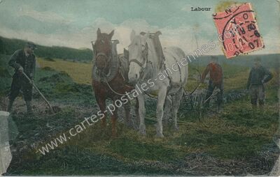 Carte postale ancienne Labour — Non Localisée (Rhône)