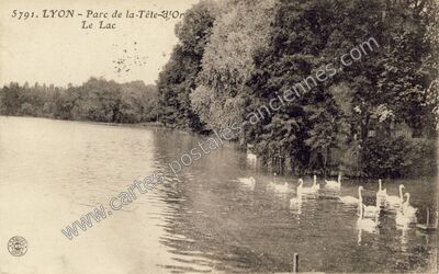 Carte postale ancienne Parc de la Tête d'Or Le Lac — Lyon (Rhône)