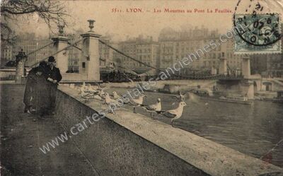 Carte postale ancienne Les Mouettes au Pont La Feuillée — Lyon (Rhône)