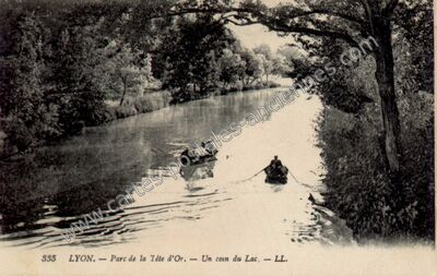 Carte postale ancienne Parc de la Tête d'Or. — Un coin du Lac — Lyon (Rhône)