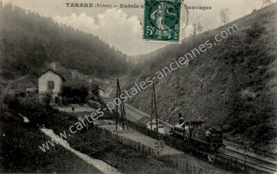 Carte postale ancienne Entrée 6 Sauvages — Tarare (Rhône)